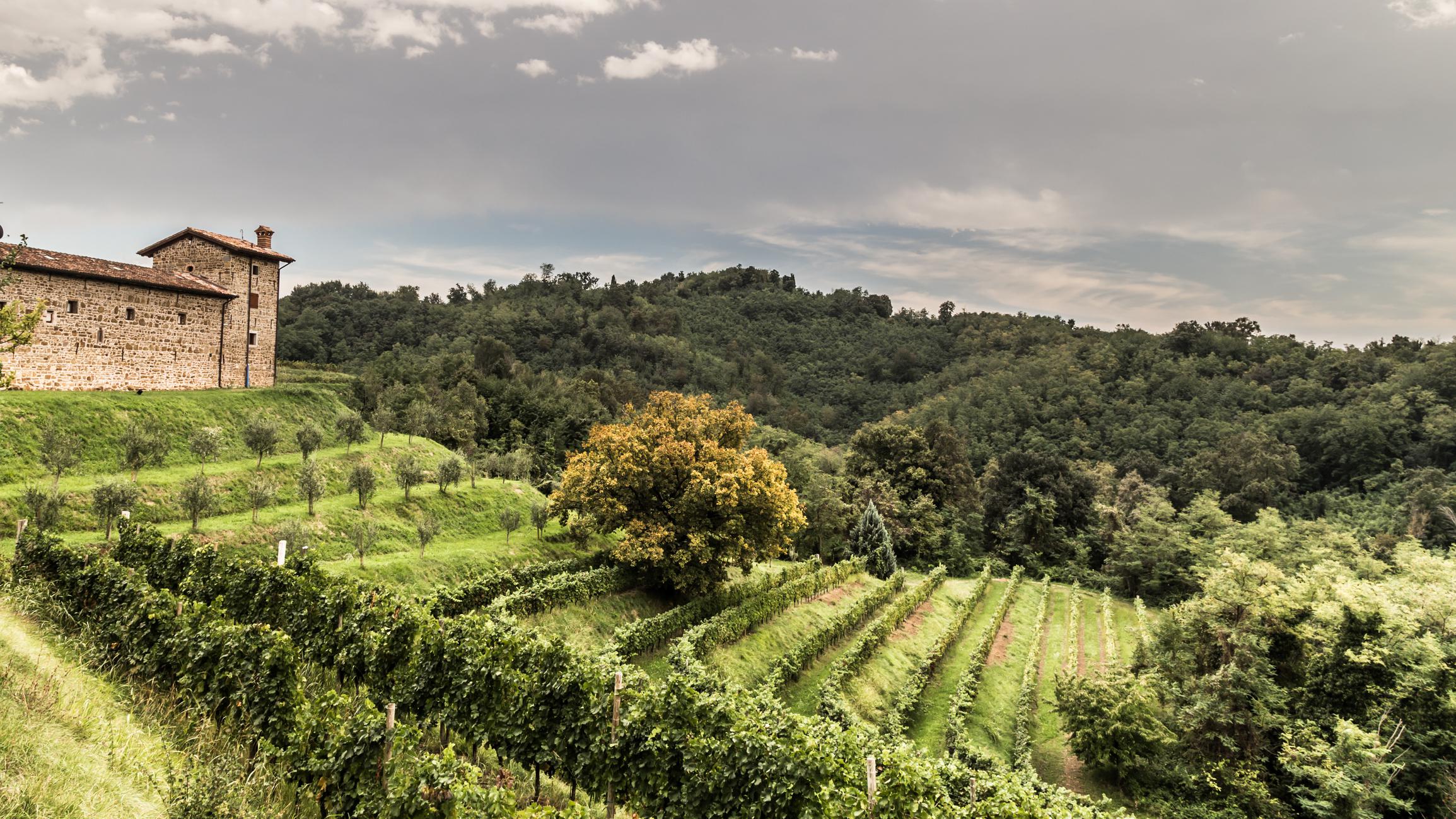 Alla scoperta delle dimore di campagna Alla scoperta delle dimore di campagna