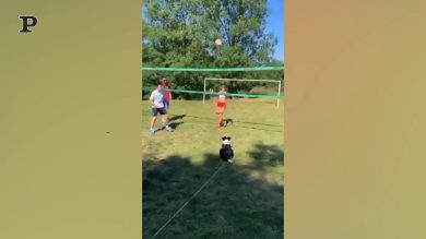 Il cane campione della pallavolo | Video