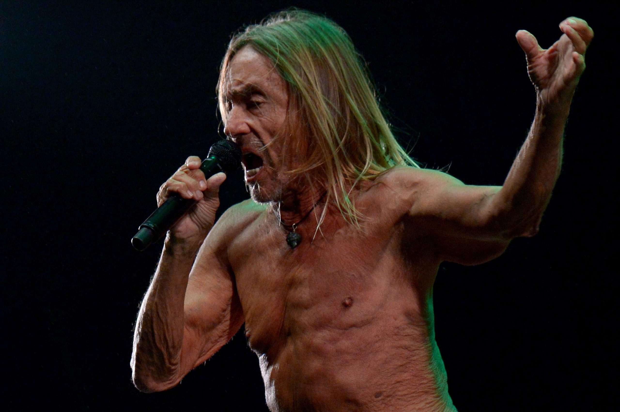 Iggy Pop: i 3 album fondamentali dell’Iguana del rock and roll Iggy Pop: i 3 album fondamentali dell’Iguana del rock and roll