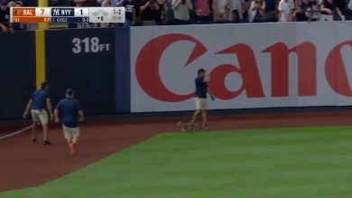 Baseball, l’invasione di campo di un gatto a New York | Video