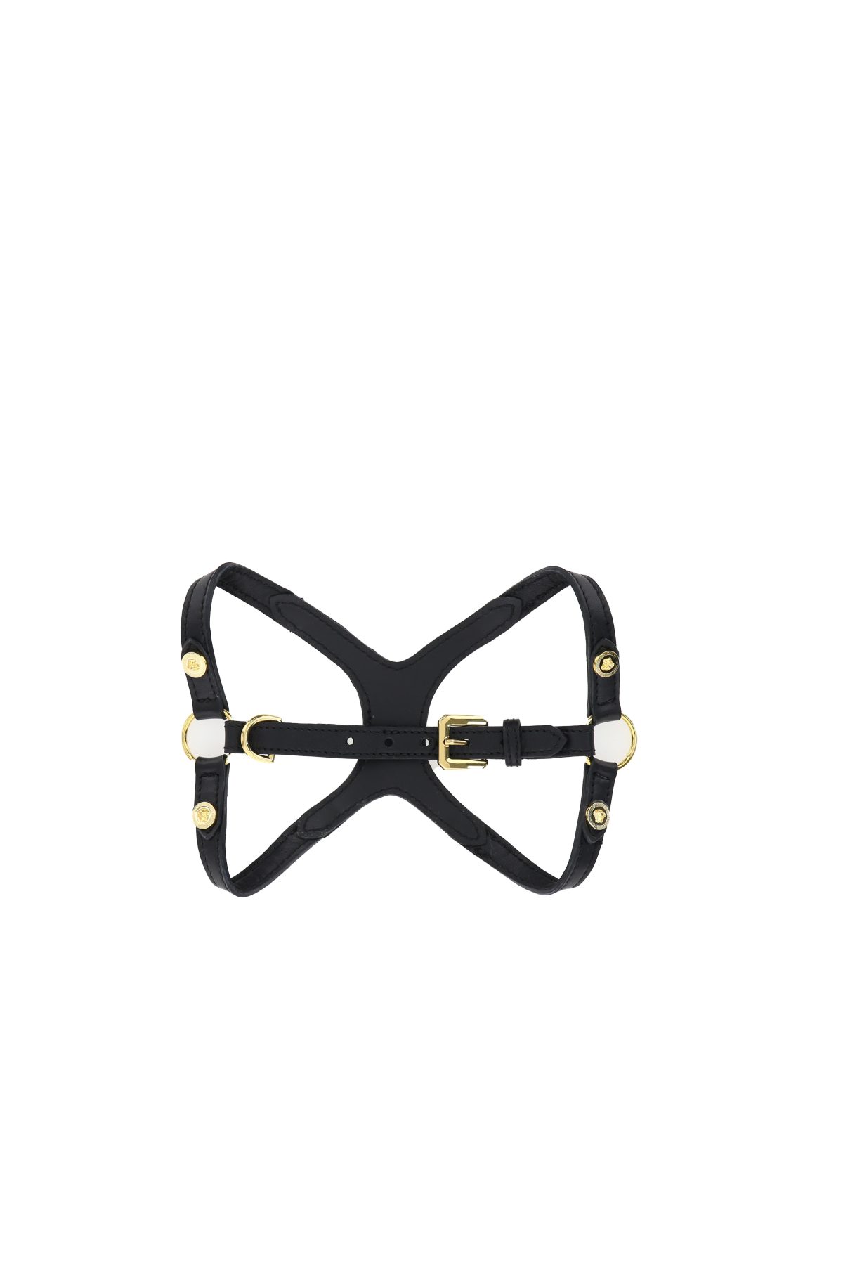 Galleria foto 'Vola la Pet Couture e il mercato per animali da compagnia' - foto 34