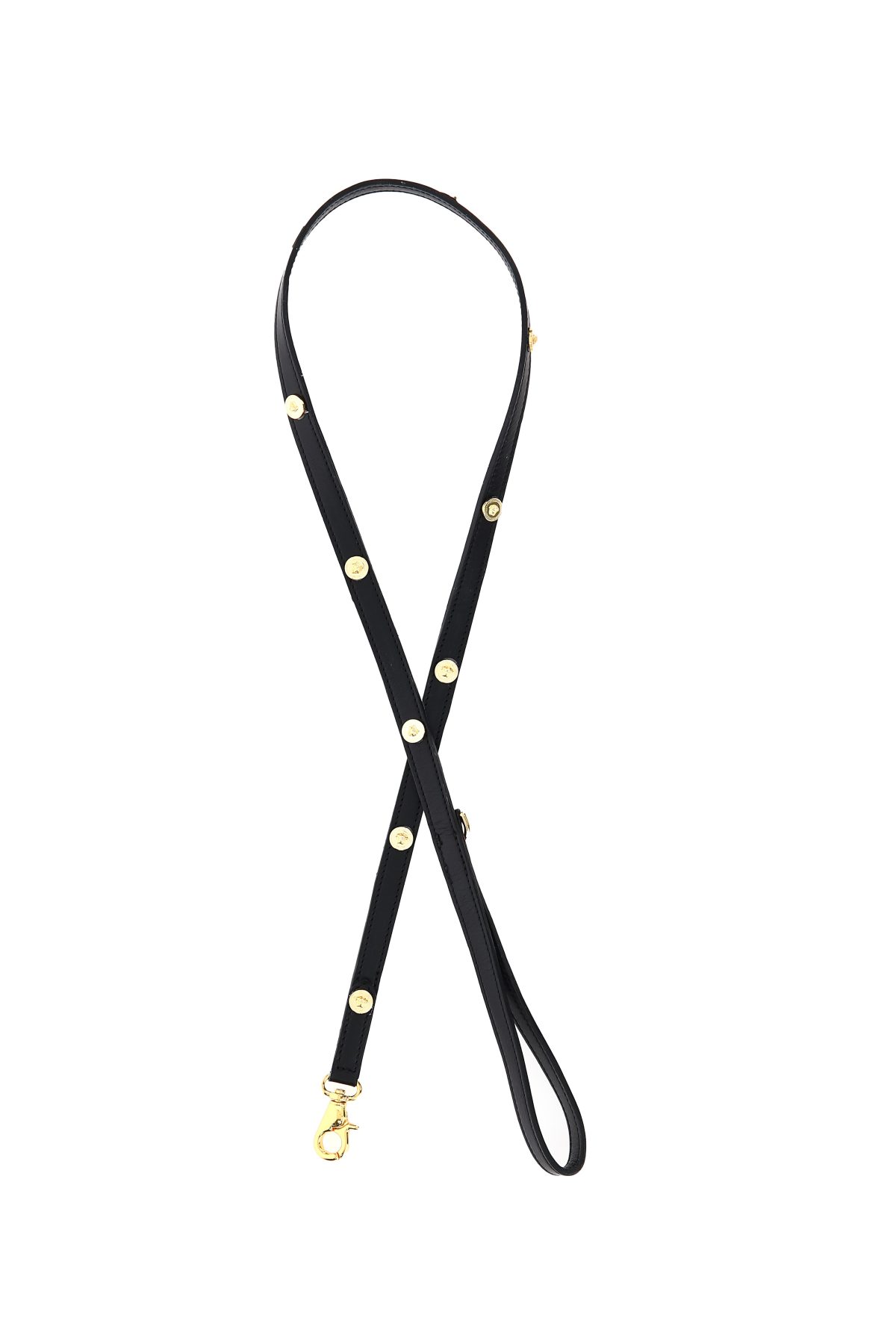 Galleria foto 'Vola la Pet Couture e il mercato per animali da compagnia' - foto 45