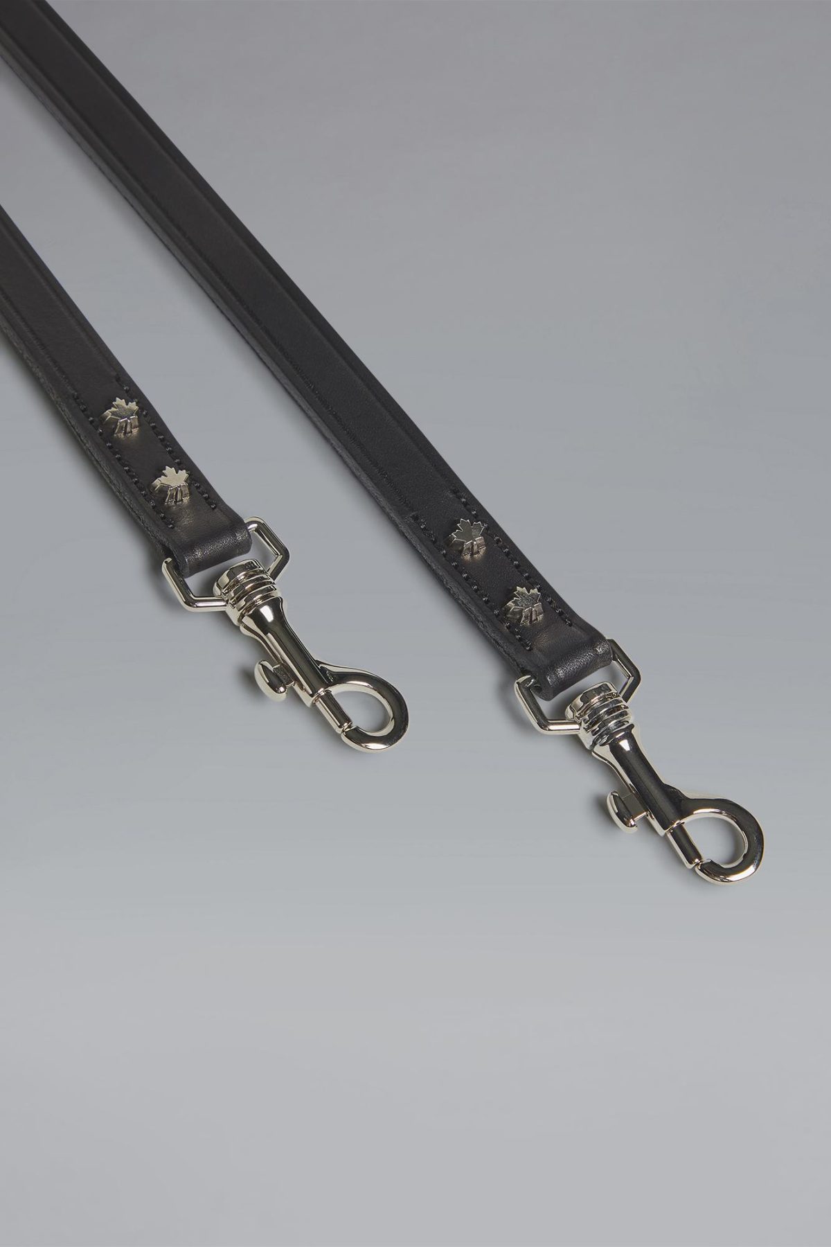 Galleria foto 'Vola la Pet Couture e il mercato per animali da compagnia' - foto 48