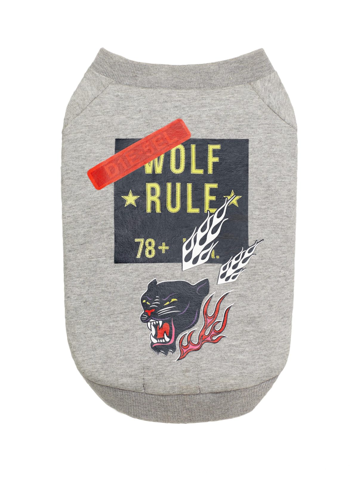 Galleria foto 'Vola la Pet Couture e il mercato per animali da compagnia' - foto 3