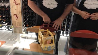 Le pillole di Petra e Carlo: galateo del viaggiatore in automobile