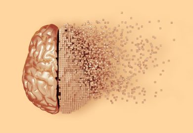 Il caldo rimpicciolisce il cervello