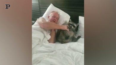 Un procione si diverte nel letto con il suo amico | Video