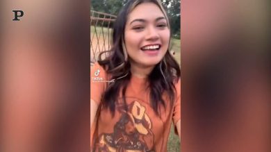 Cavallo talentuoso muove la testa a ritmo di musica | video