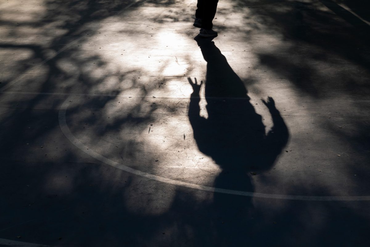 Galleria foto 'Riciclare è bello (anche da guardare)' - foto 9