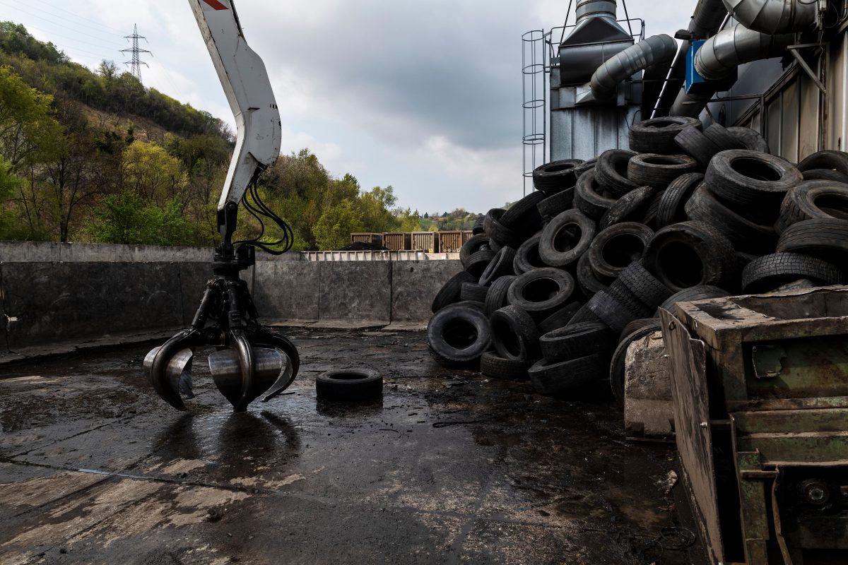 Galleria foto 'Riciclare è bello (anche da guardare)' - foto 3