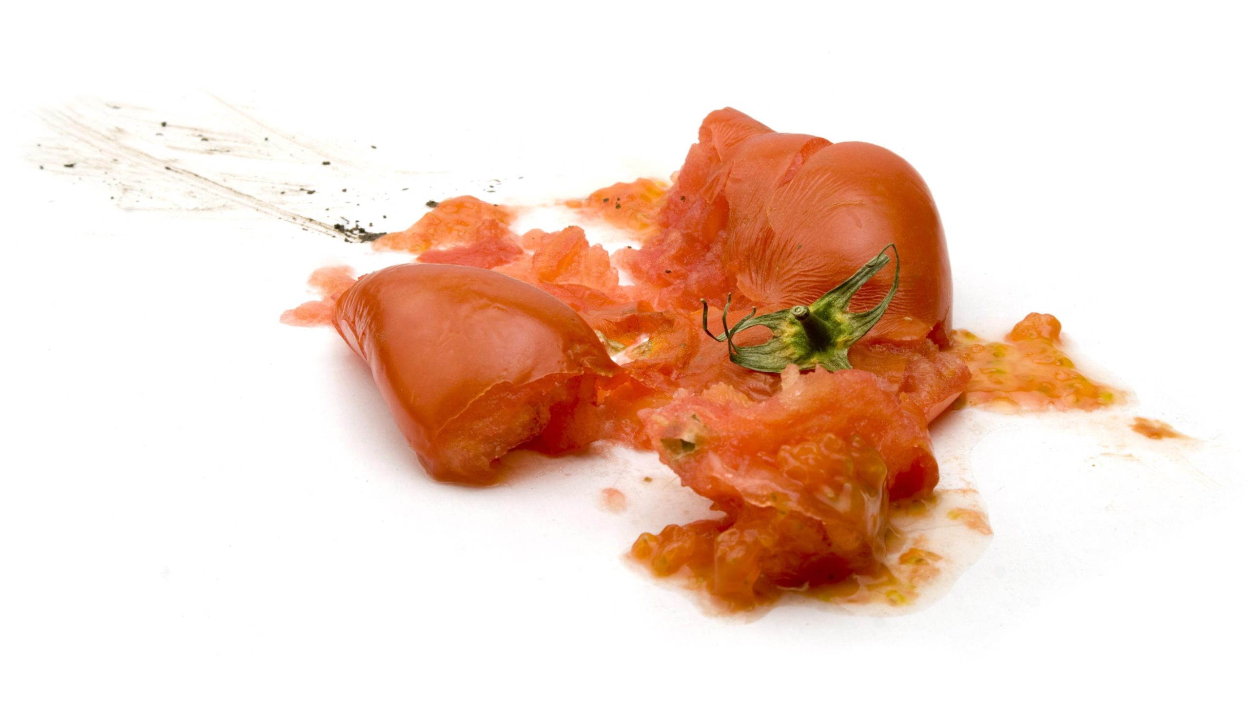 Crisi agricola: il rosso del pomodoro Crisi agricola: il rosso del pomodoro