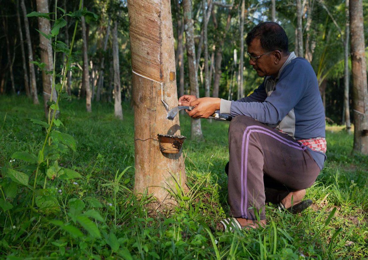 Galleria foto 'Il cammino di Hunter Boots verso la sostenibilità' - foto 12