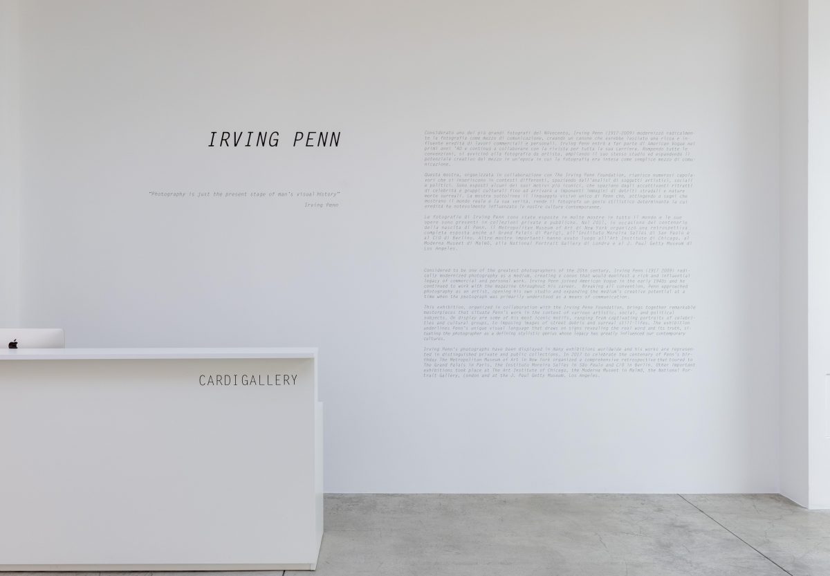 Galleria foto 'Irving Penn e i ritratti dell’anima' - foto 11