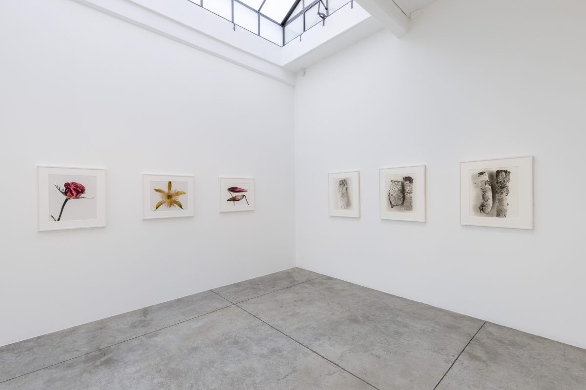 Galleria foto 'Irving Penn e i ritratti dell’anima' - foto 10