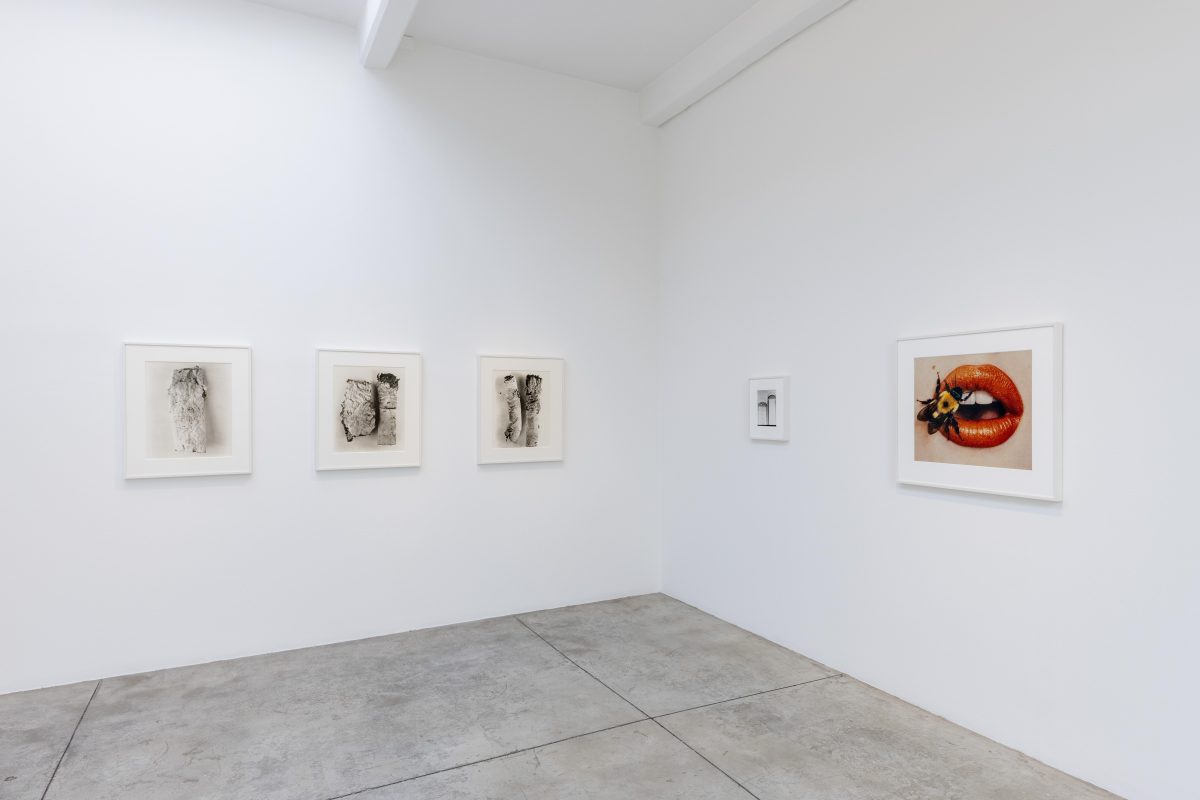 Galleria foto 'Irving Penn e i ritratti dell’anima' - foto 8