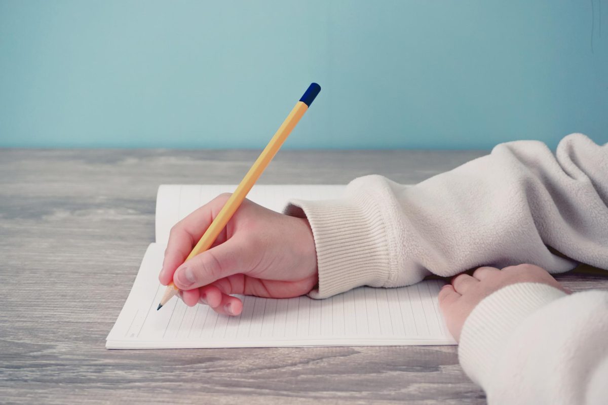 Galleria foto 'Ritorno a scuola. Guida all’acquisto di matite, zaini e pc' - foto 2