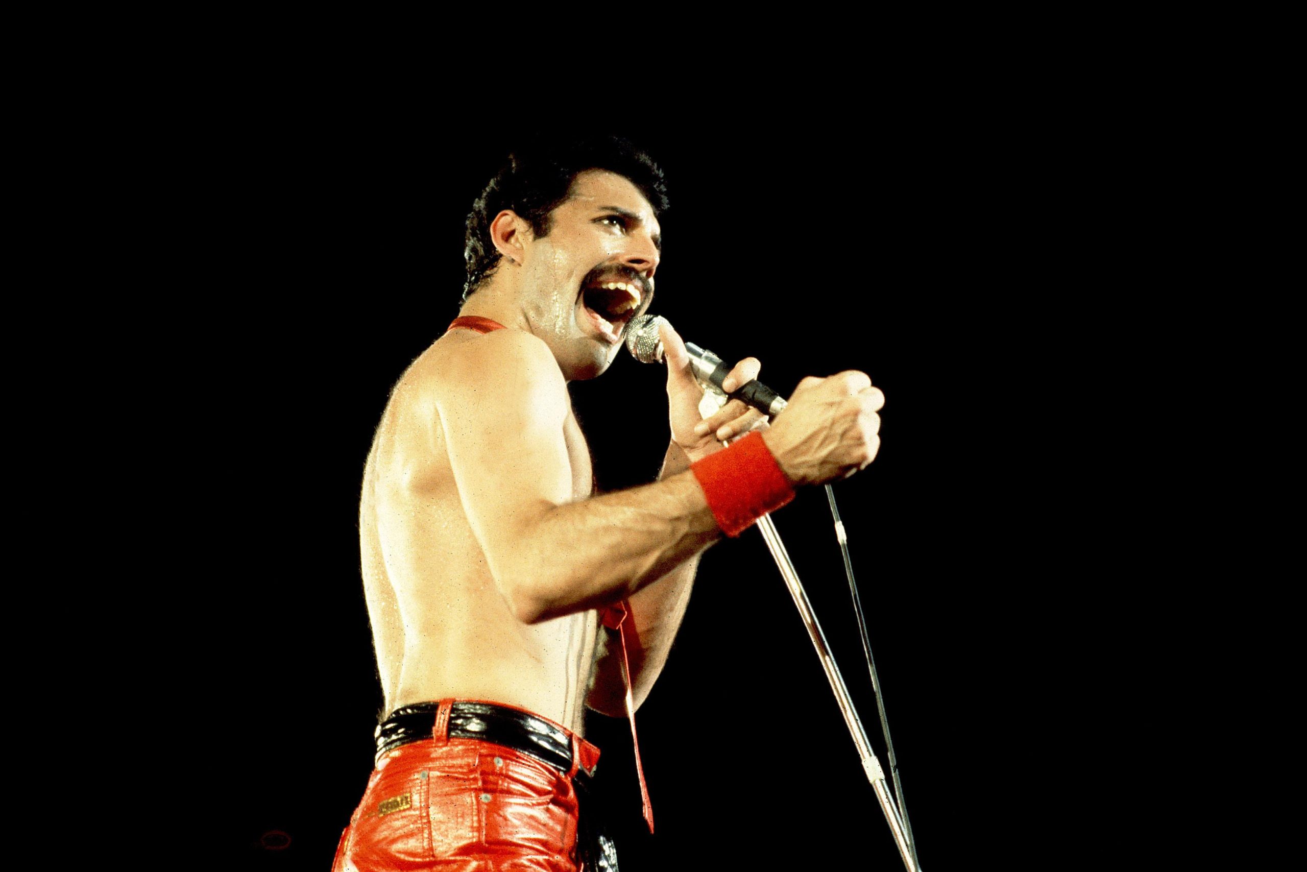 Tutto quello che vorremmo vedere 
in Bohemian Rhapsody 2