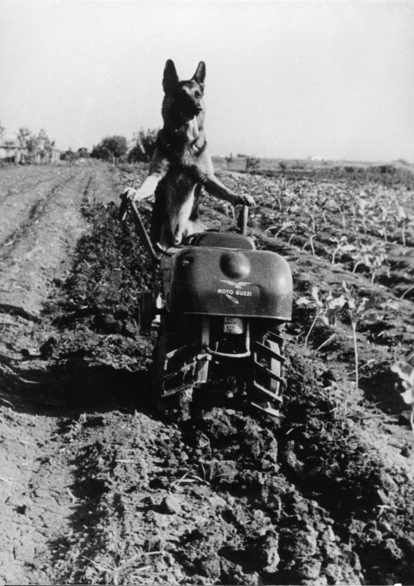 Guzzi, storia di un’Italia che         corre