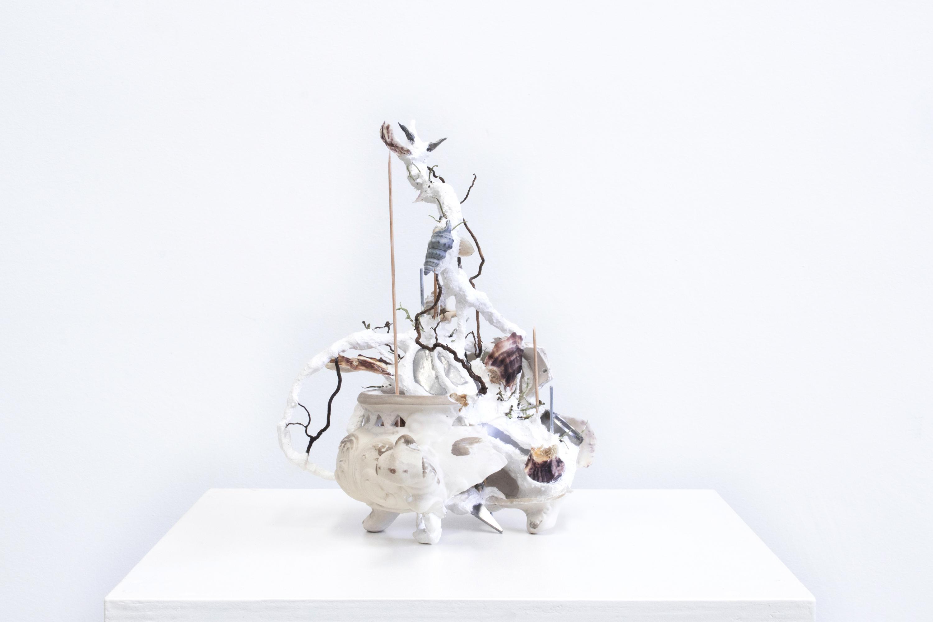 «Alter Eva. Natura Potere Corpo» al Palazzo Strozzi di Firenze «Alter Eva. Natura Potere Corpo» al Palazzo Strozzi di Firenze