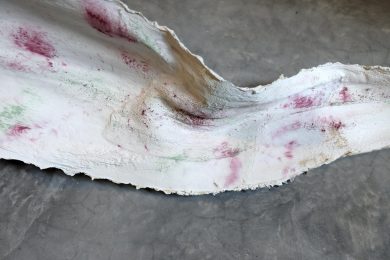 «Alter Eva. Natura Potere Corpo» al Palazzo Strozzi di Firenze