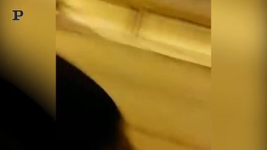 Roccaraso, orso semina il panico tra le strade del centro | video