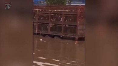 Alluvione in Cina, 120mila persone evacuate | video