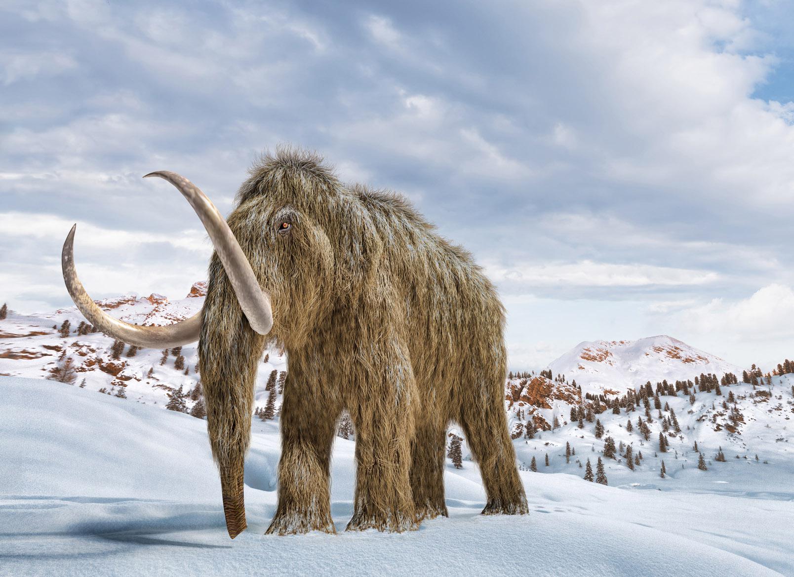 De-estinzione: il ritorno del mammut