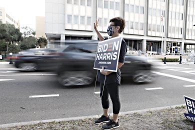 L’Asinello: un partito sull’orlo di una crisi di nervi