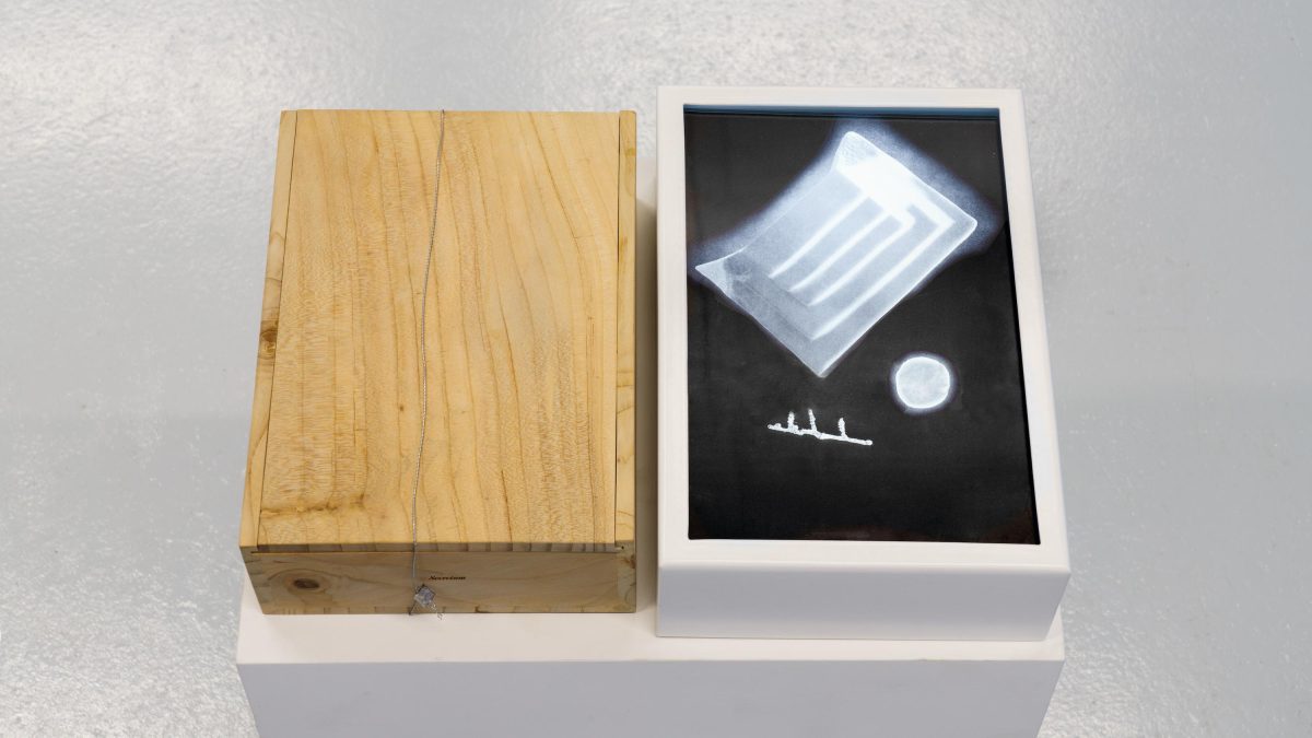 Galleria foto 'Diptyque celebra 60 anni con una mostra e una collezione dedicata a cinque capitali' - foto 21