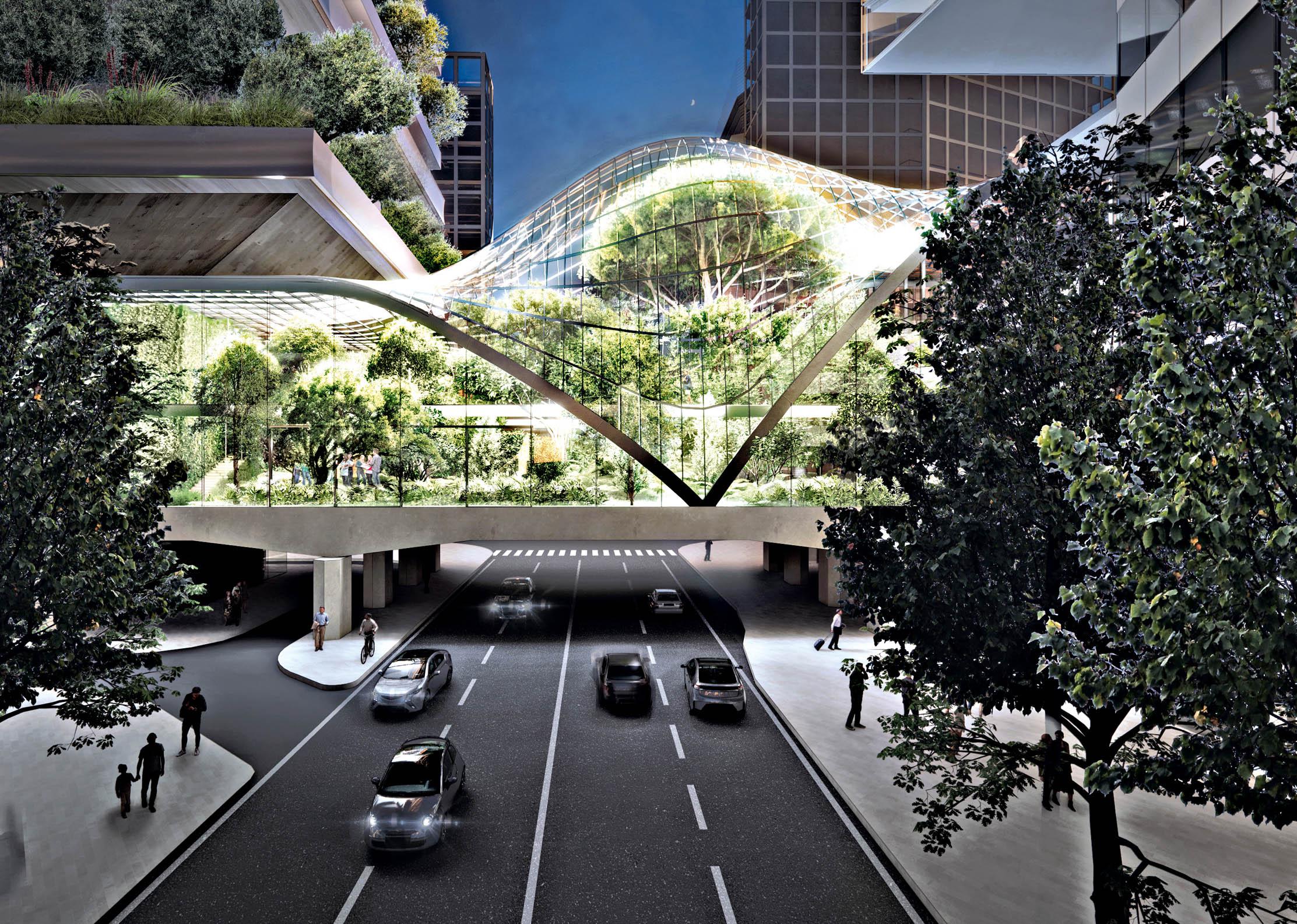 Dopo il bosco anche l’agricoltura diventa «verticale»