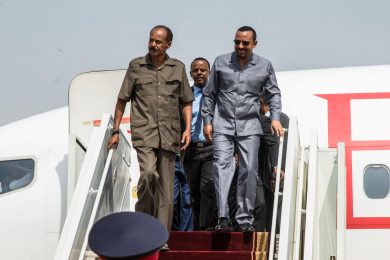 «Le grandi manovre dell’Eritrea nella crisi etiopica»