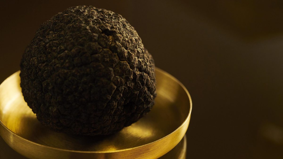 Galleria foto 'Tartufoterapia in cosmesi e bellezza' - foto 2