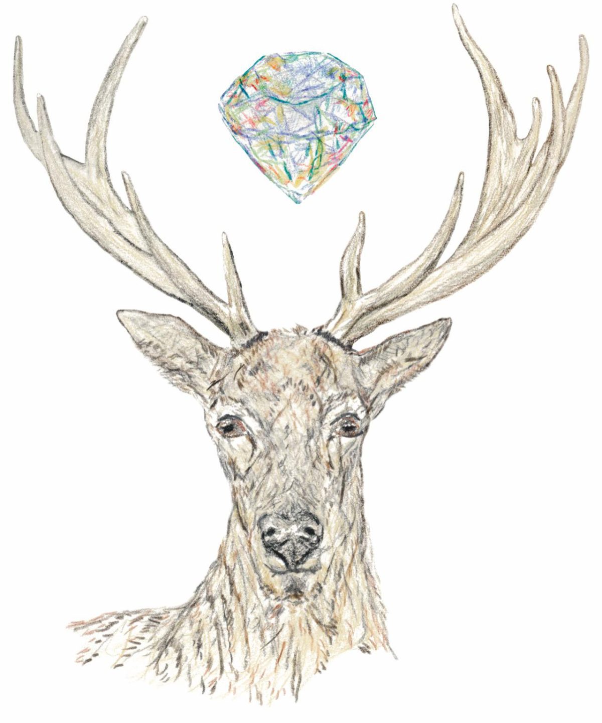 Galleria foto 'La Treccani ripubblica le fiabe di Giambattista Basile' - foto 5