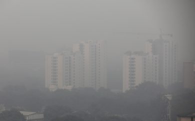 I dinosauri, l’asteroide, il clima e noi