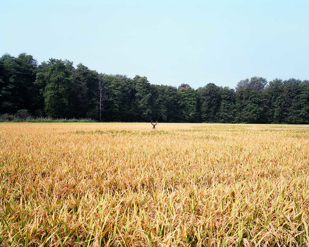 Snam celebra i suoi 80 anni con la mostra «The Thin Line»