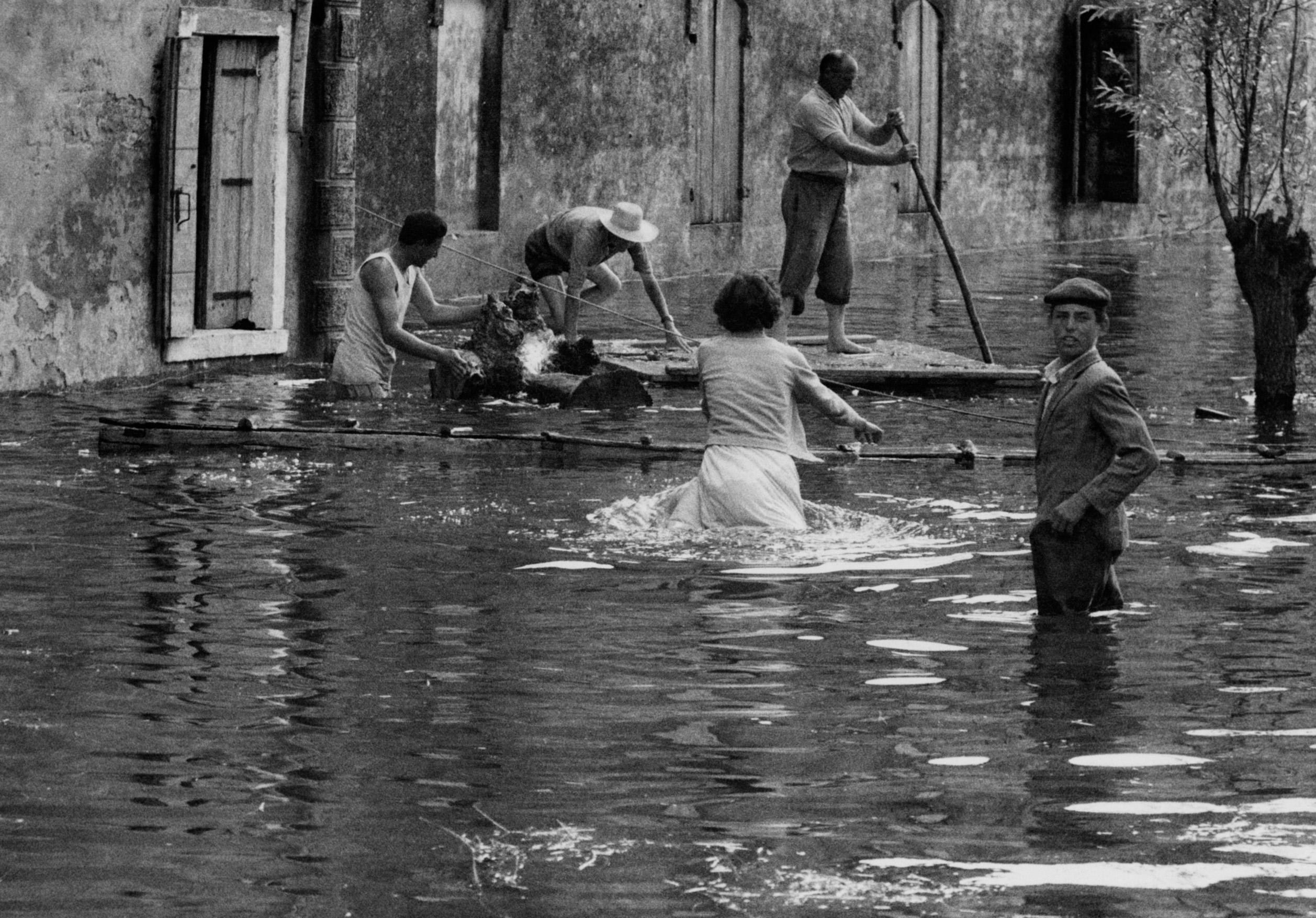 Polesine, la grande acqua Polesine, la grande acqua