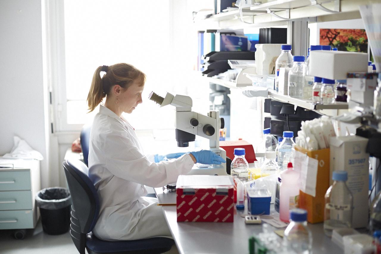 Immunoterapia e biopsia liquida, le nuove armi contro i linfomi Immunoterapia e biopsia liquida, le nuove armi contro i linfomi