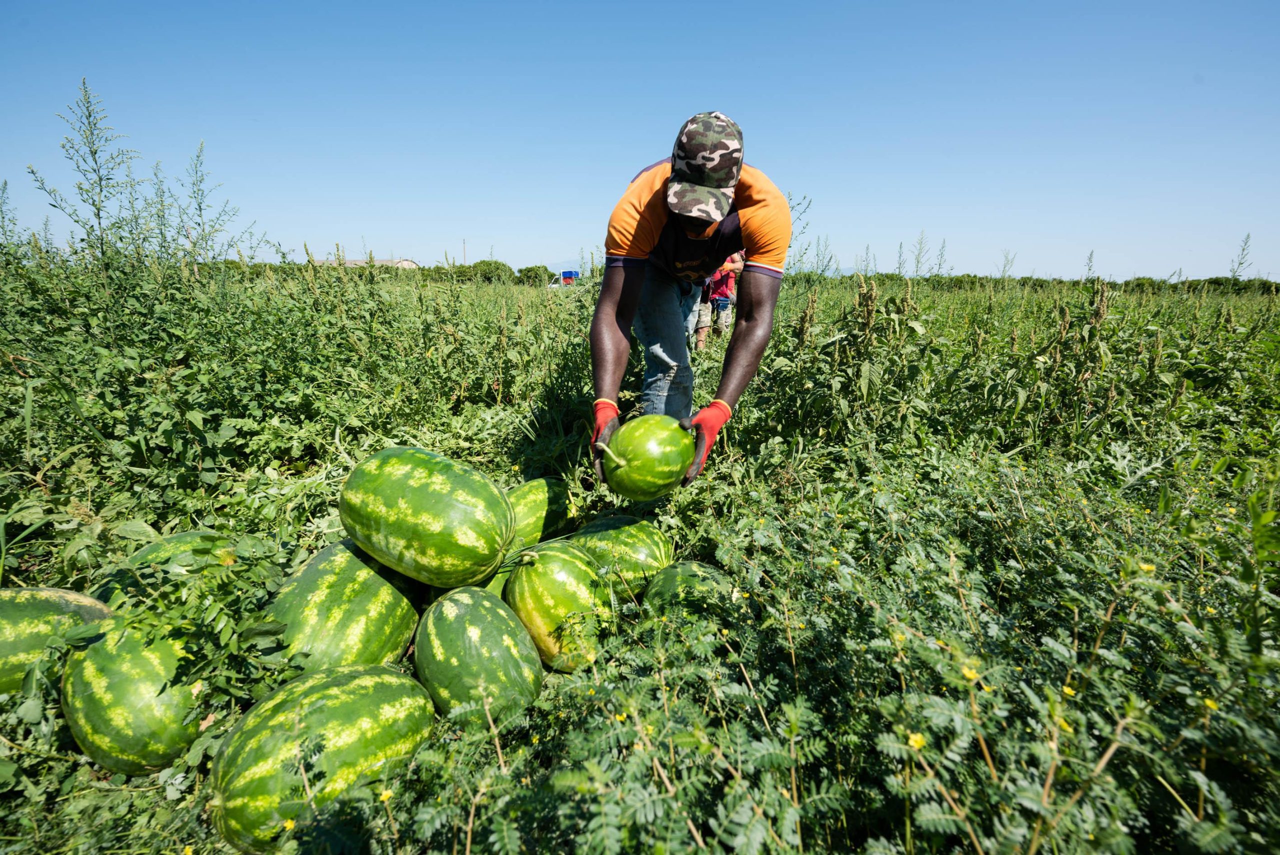 Decreto flussi: pericolo bluff