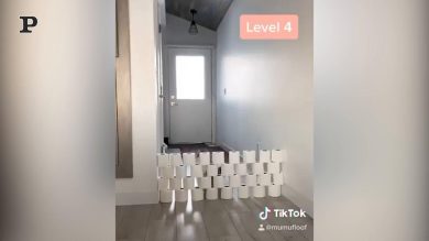 Gatto improvvisa una corsa ad ostacoli | Video