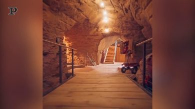 Usa, in affitto la tana del Grinch per trascorrere un Natale lontano dai festeggiamenti | Video