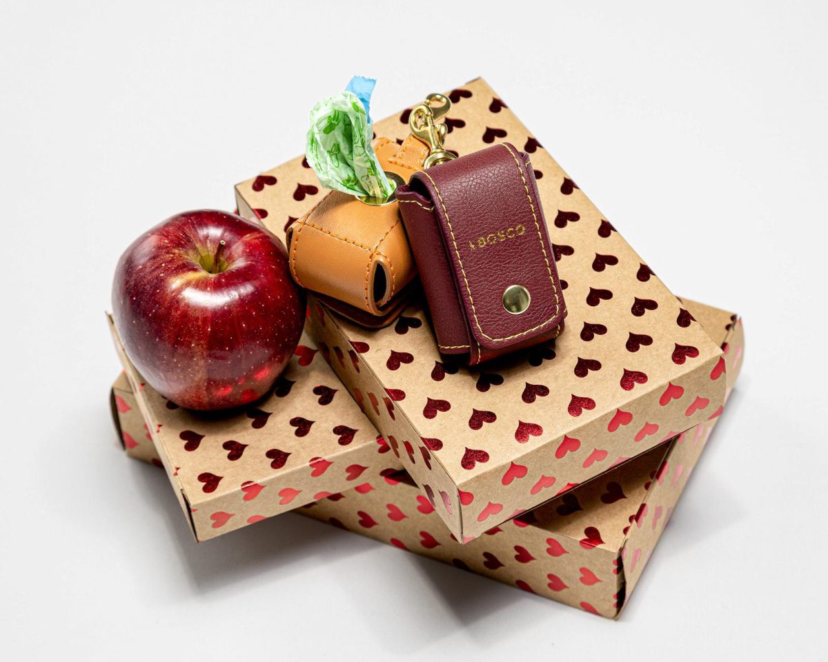 I Regali di Natale per i nostri amici cani