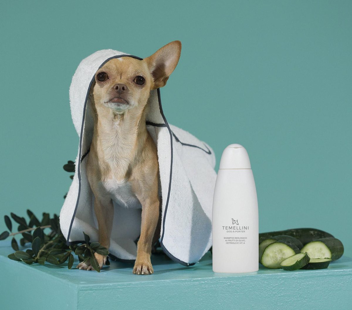 Galleria foto 'I Regali di Natale per i nostri amici cani' - foto 8