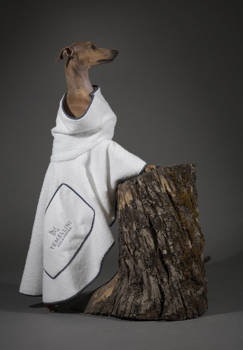 I Regali di Natale per i nostri amici cani