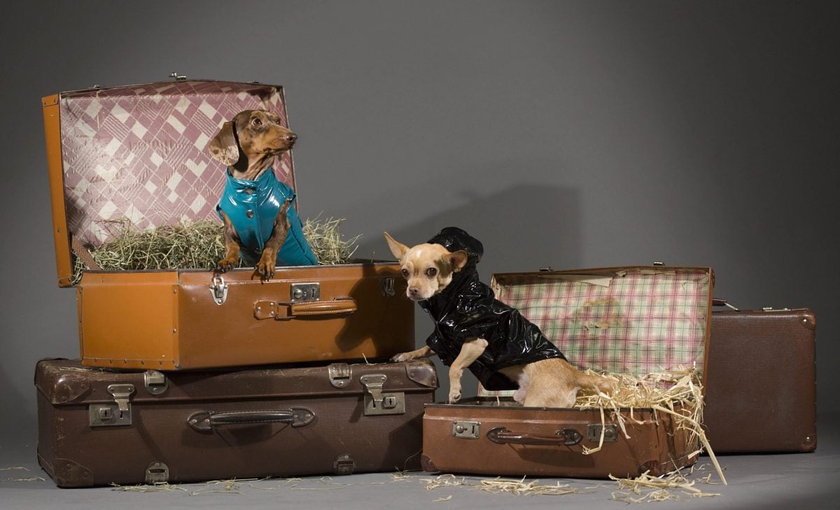 Shopping, l’intelligenza artificiale migliora l’esperienza sotto Natale Shopping, l’intelligenza artificiale migliora l’esperienza sotto Natale