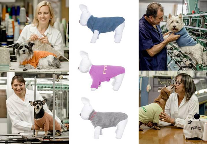 I Regali di Natale per i nostri amici cani