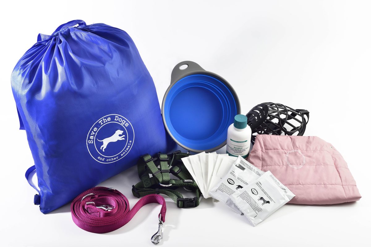 Galleria foto 'I Regali di Natale per i nostri amici cani' - foto 2