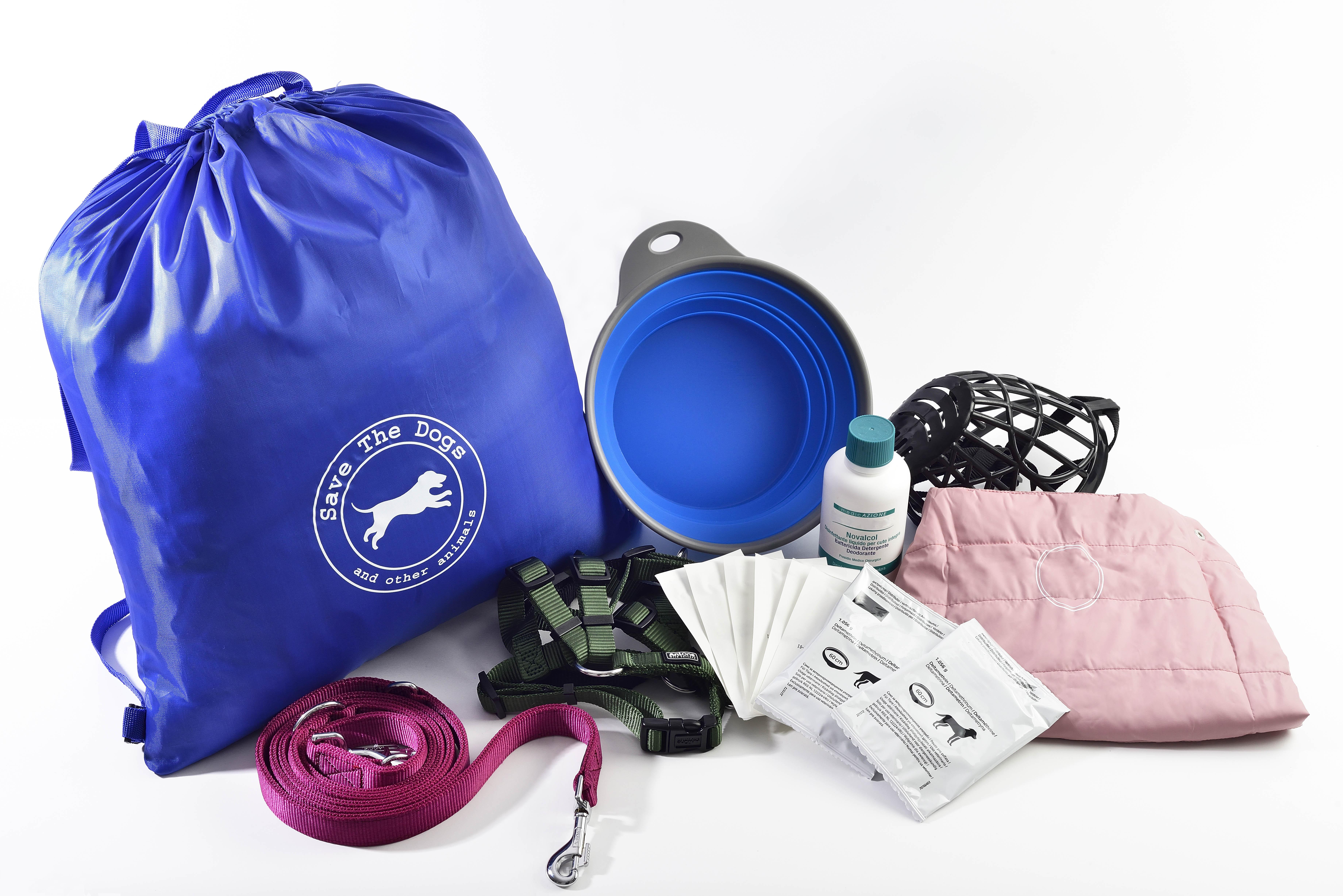 I Regali di Natale per i nostri amici cani