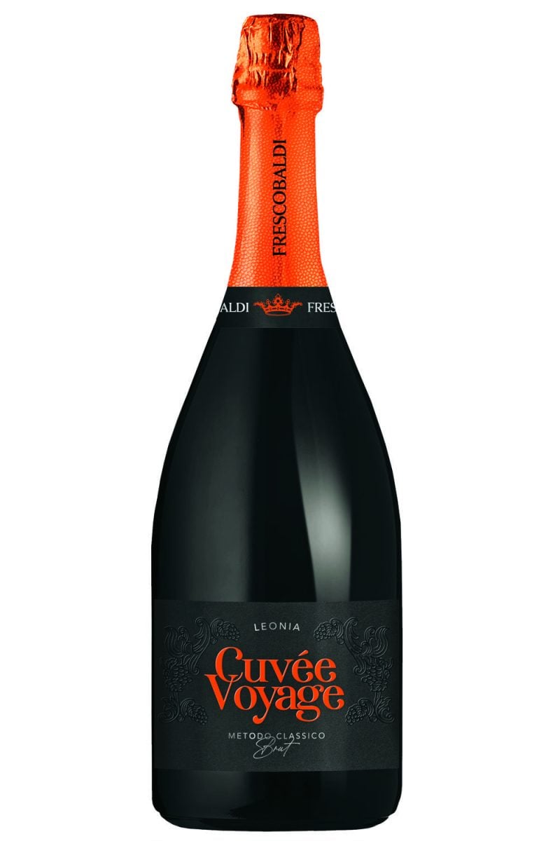 Guida (ragionata) ai migliori spumanti per le feste