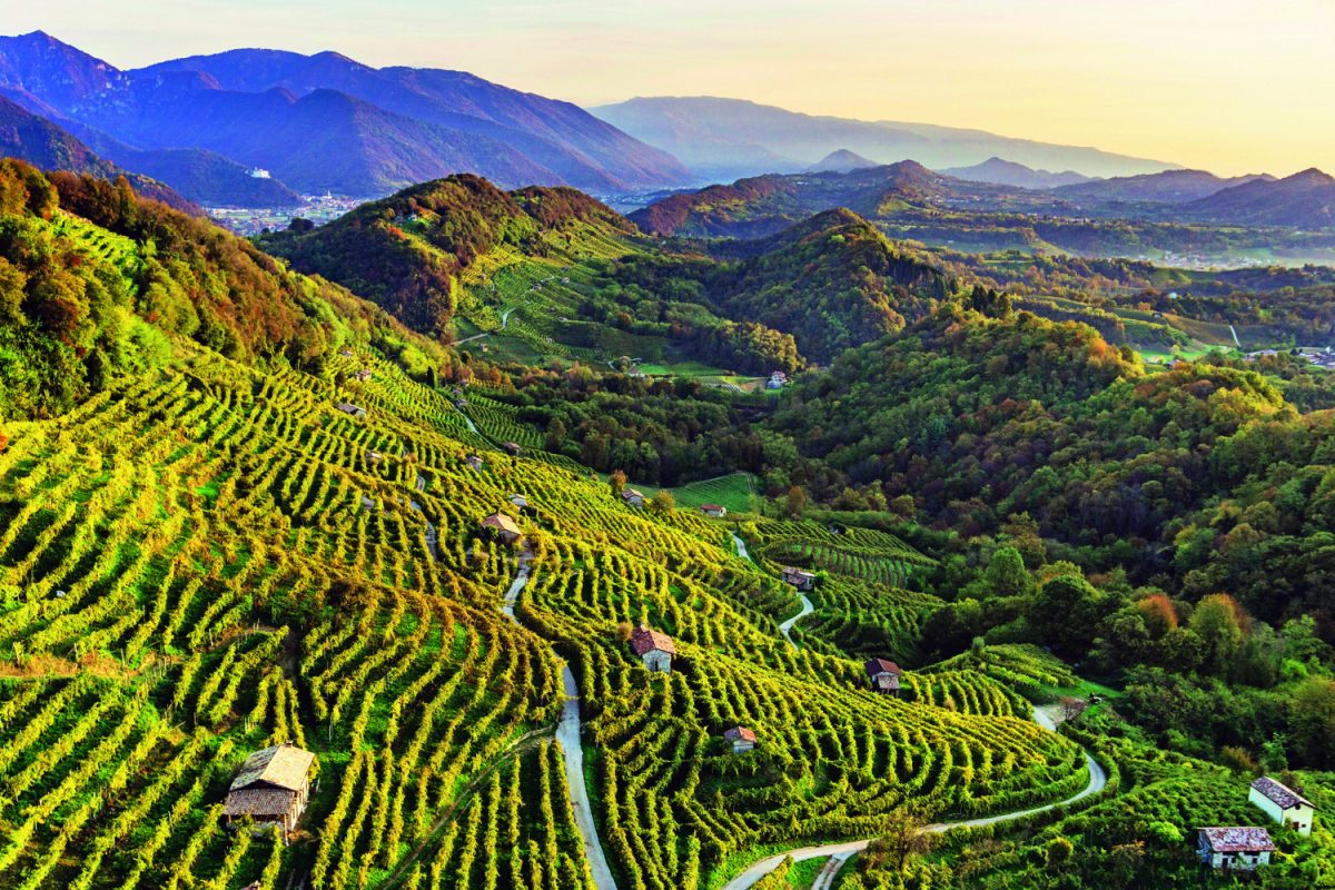 Galleria foto 'Veneto, aperto per ferie' - foto 2