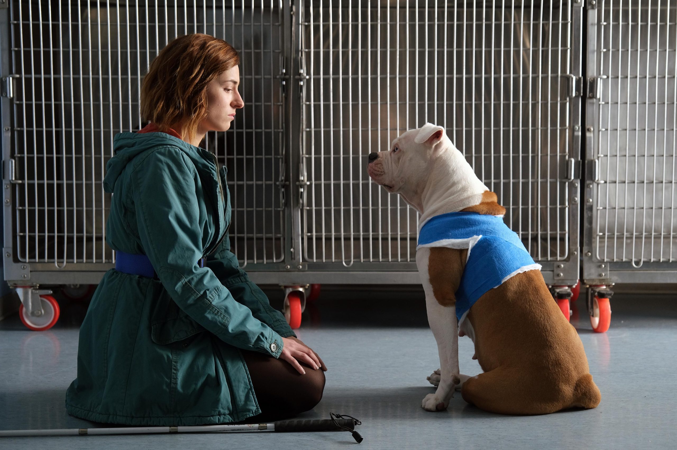 Blanca: le anticipazioni della terza puntata Blanca: le anticipazioni della terza puntata